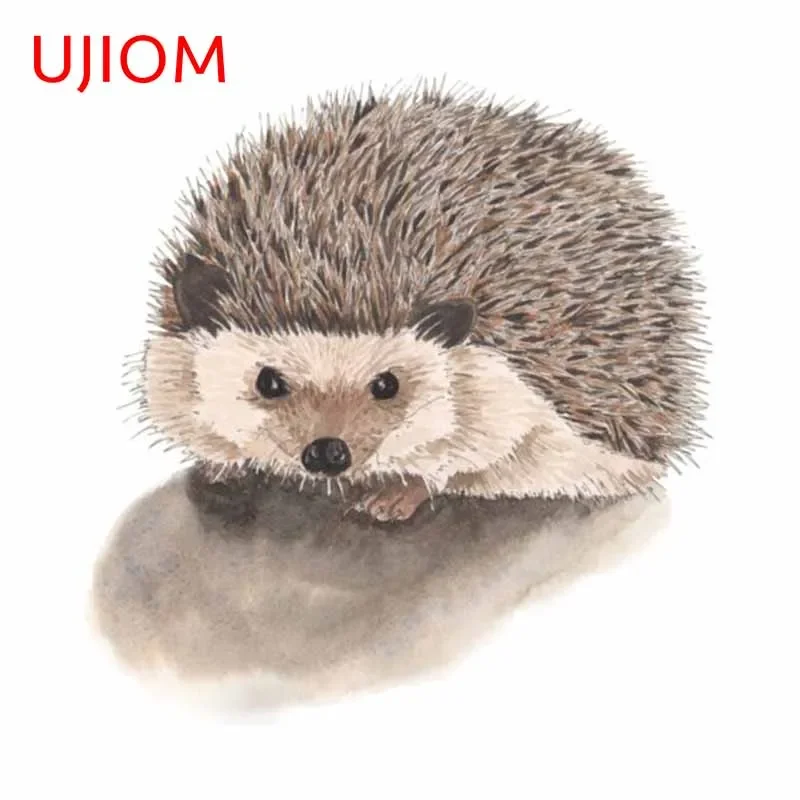 UJIOM 13cm divertente riccio c - Baby Nursery Panelling recensione e prezzo